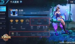 王者爆料茶茶视频下载,茶茶视频独家下载，揭秘游戏幕后精彩瞬间